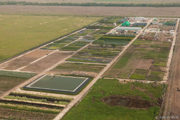 Поставка бетонных водоотводных лотков серий SteePlus и SteePro для питомника растений 